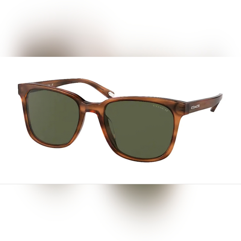 Coach Brown Sunglasses